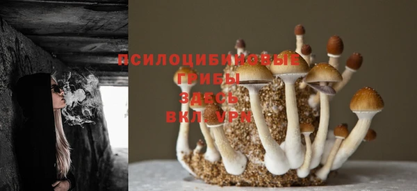 синтетический гашиш Медвежьегорск