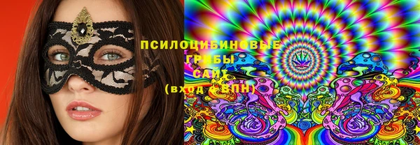ешки Мегион