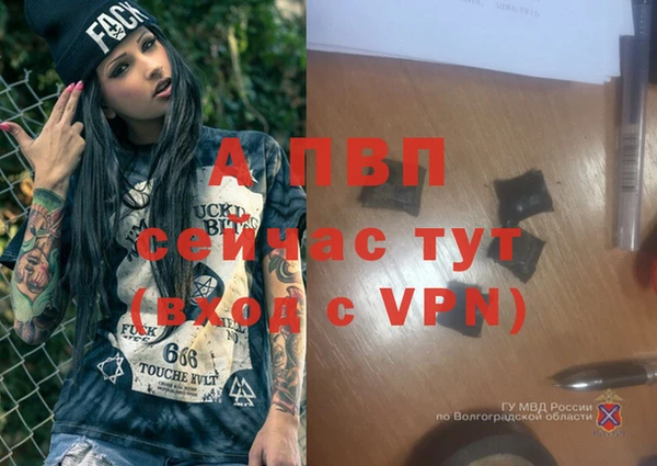 ешки Мегион