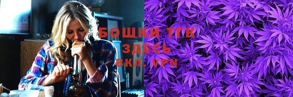 ешки Мегион