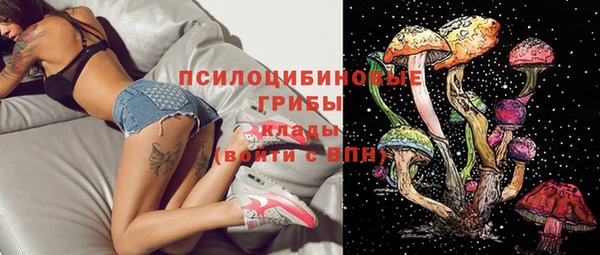 синтетический гашиш Медвежьегорск