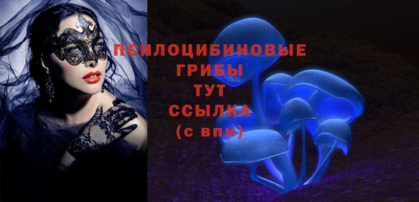 синтетический гашиш Медвежьегорск