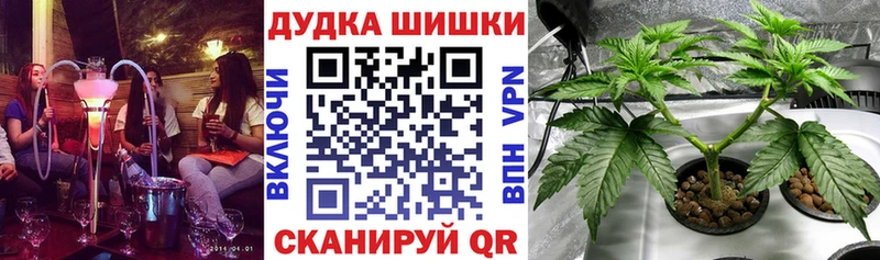 сколько стоит  Питкяранта  Каннабис планчик 